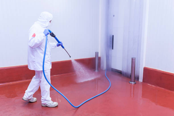 Professional Pressure Washing Services in Andrews Af, MD